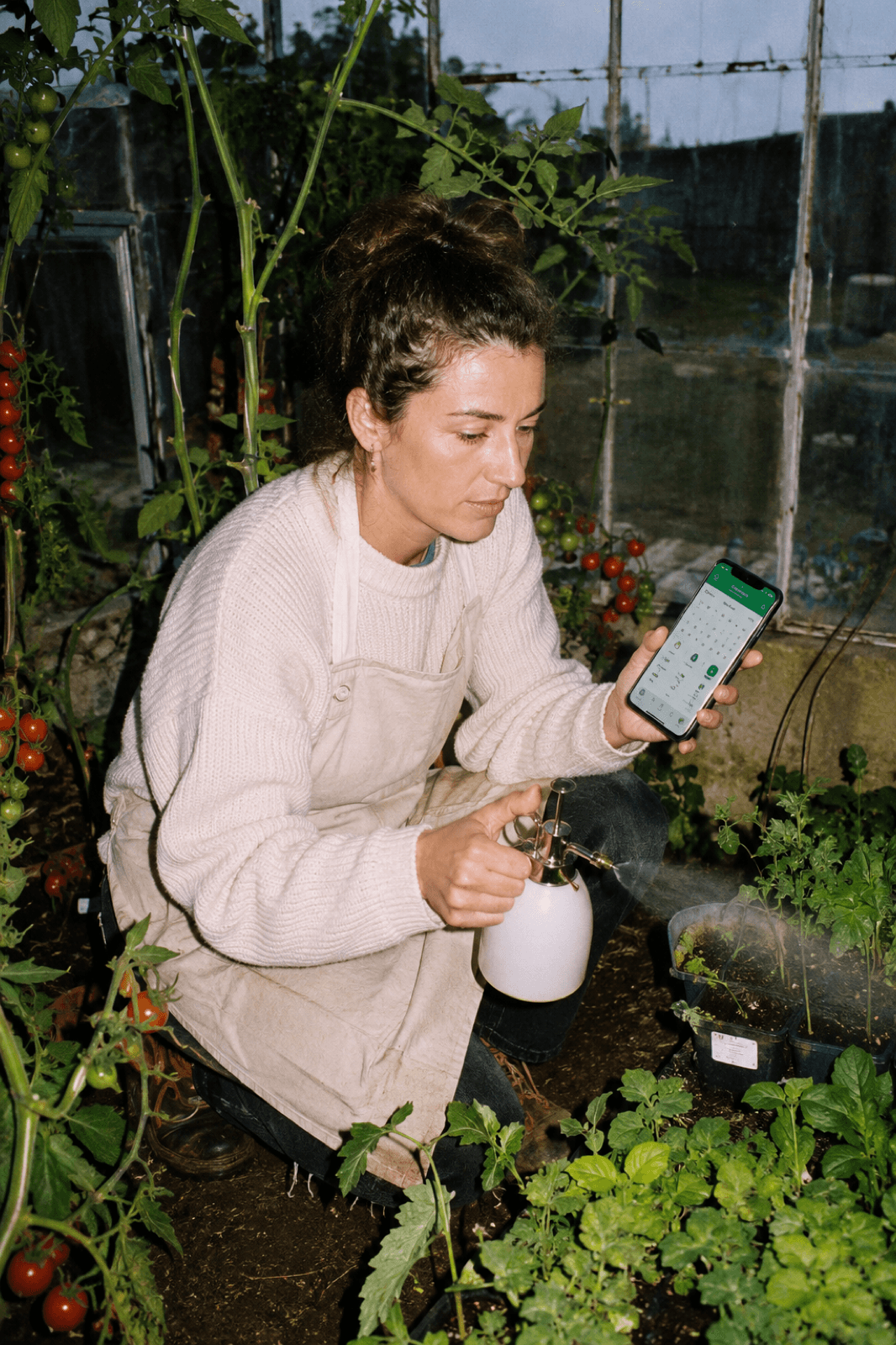 Jardinière dans une serre avec pulvérisateur et application de suivi