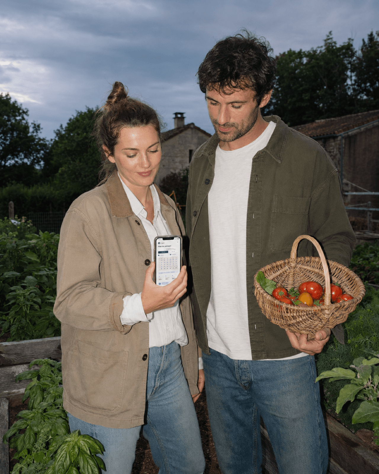 Couple récoltant des tomates en consultant le plan du potager sur smartphone