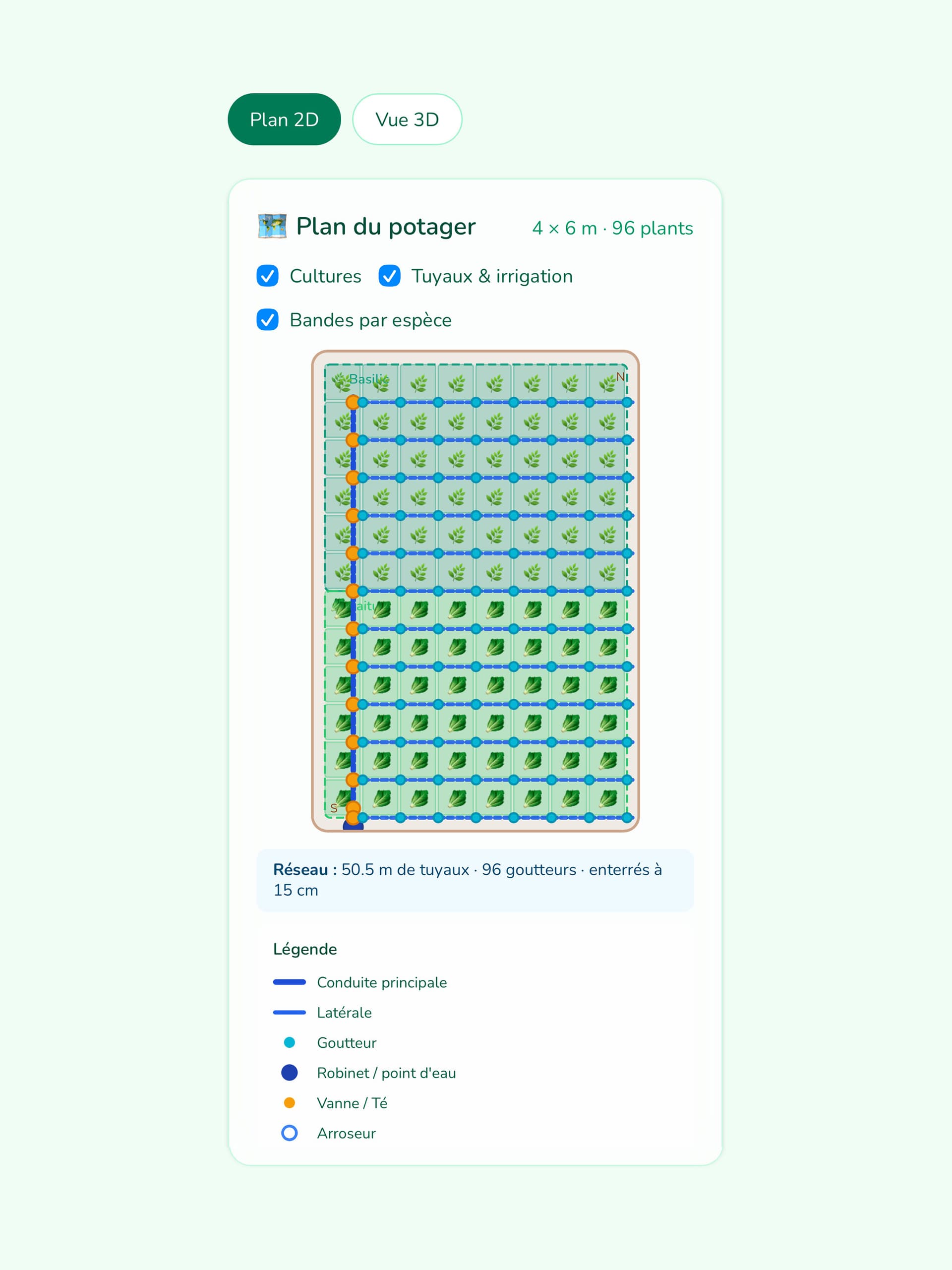 Plan 2D du potager avec réseau d'irrigation goutte-à-goutte